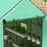 Walk-in Greenhouse w/ 3 Tier Shelves, Green House Garden Grow House w/ PE Cover, Roll-up Door, Mesh Windows, 140 x 213 x 190cm, Green