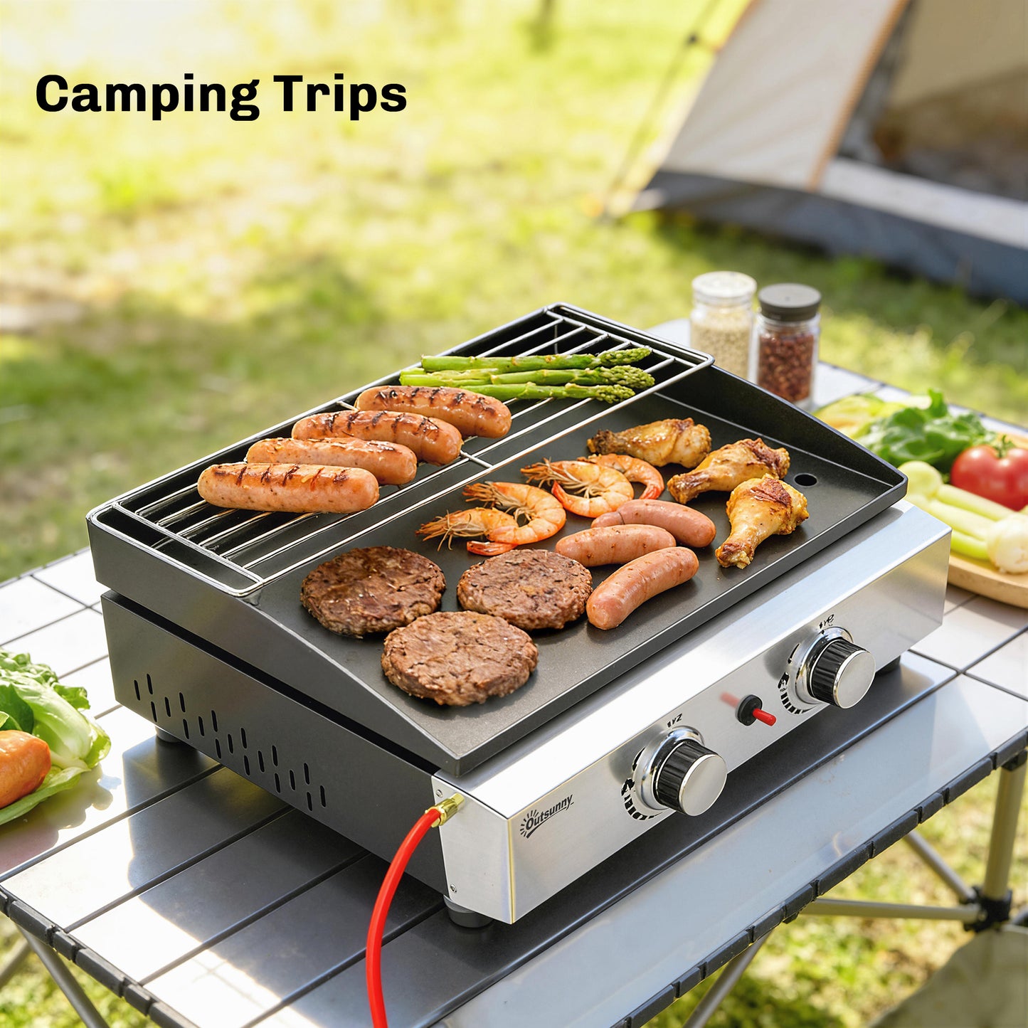 2 Burner Grill Griddle, Tabletop Gas BBQ with Grease Cup, Black