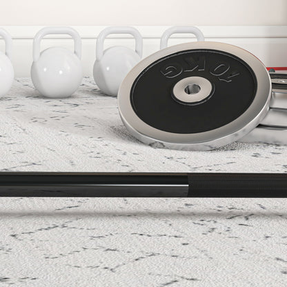 5cm Weight Lifting Bar, Barbell Bar with Spring Clips, 210cm, 19kg