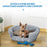 Elevated Dog Cat Couch Pet Basket Sofa Bed Wicker Willow Rattan w/Cushion