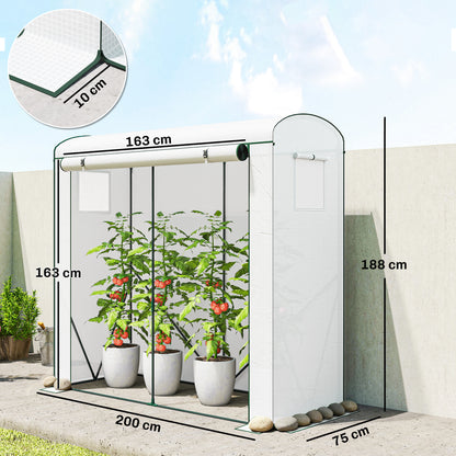 Mini Greenhouse, Portable Indoor Outdoor Green House with PE Cover