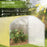 Polytunnel Greenhouse Walk-in Grow House with UV-resistant PE Cover, Door, Galvanised Steel Frame, 4 x 3 x 2m, White