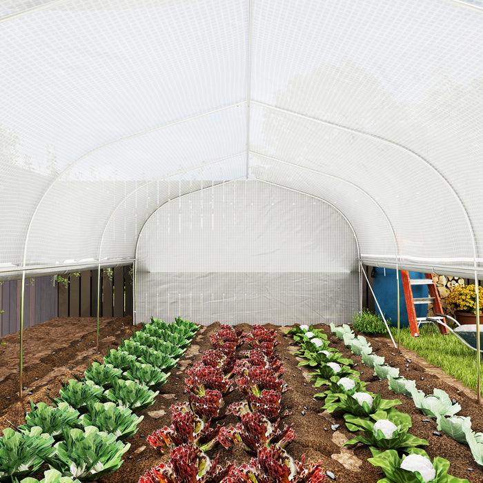 Polytunnel Greenhouse W/ Roll-up Sidewalls, Mesh Door, 6 x 3 x 2m