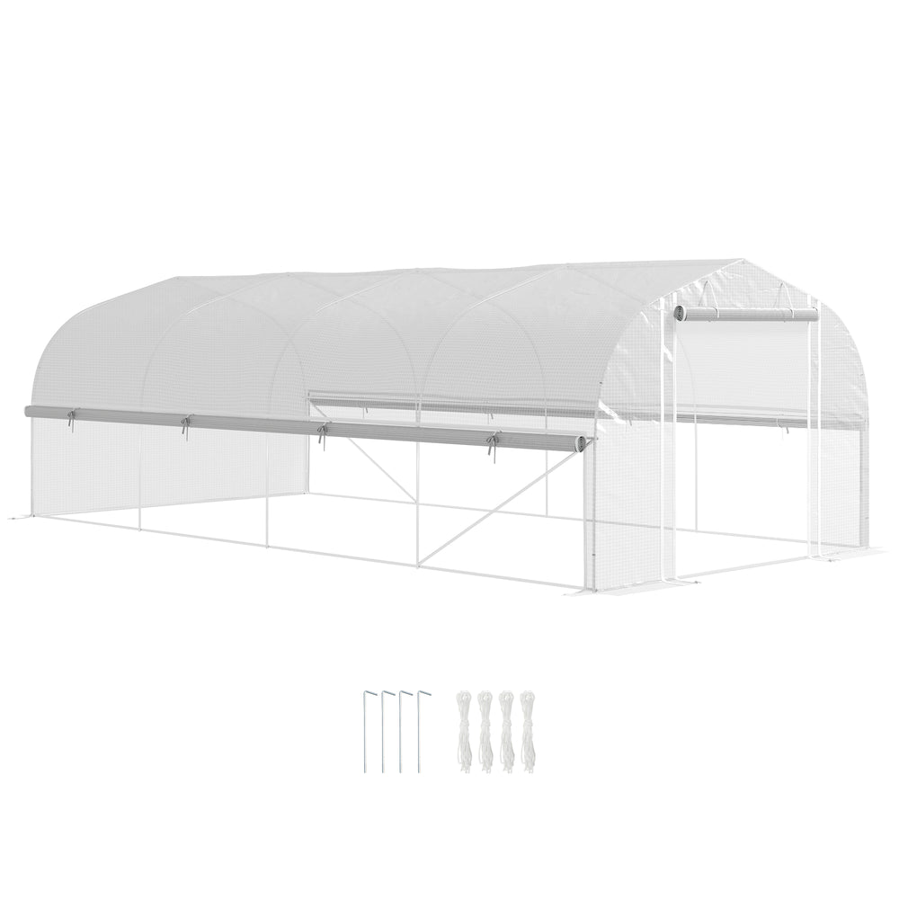 Polytunnel Greenhouse W/ Roll-up Sidewalls, Mesh Door, 6 x 3 x 2m