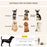 60cm Pet Carrier, Foldable Dog Bag, Portable Cat Carrier, Pet Travel Bag with Cushion for Miniature Dogs, Brown