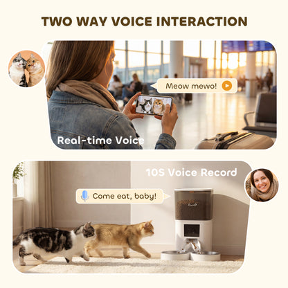 Smart Cat Feeder with HD Camera, 5G WiFi & Voice Recorder 6L