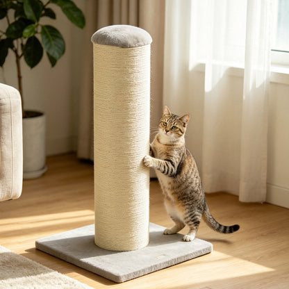 Cat Scratching Post, 76cm Tall Scratch Post for Indoor Cats