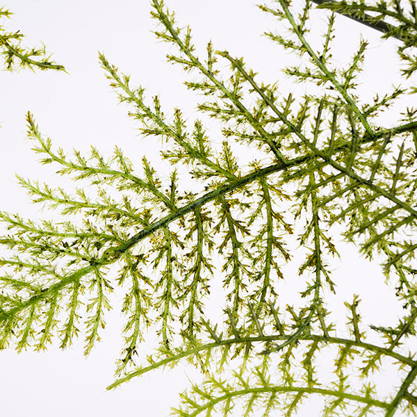 Artificial Large Fern Leaf