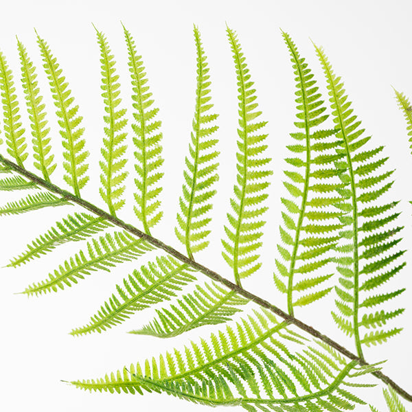 Large Artificial Fern Plant
