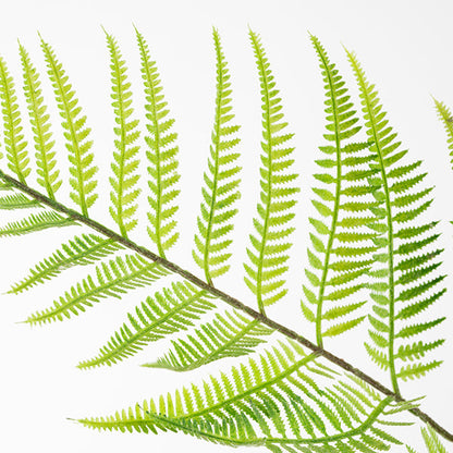 Large Artificial Fern Plant