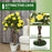 Set of 2 90cm Artificial Rose Tree, Fake Decorative Plant, Yellow