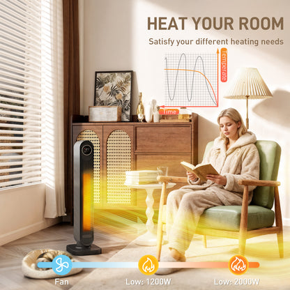 Ceramic Electric Heater, 2000W Fan Space Heater, Black