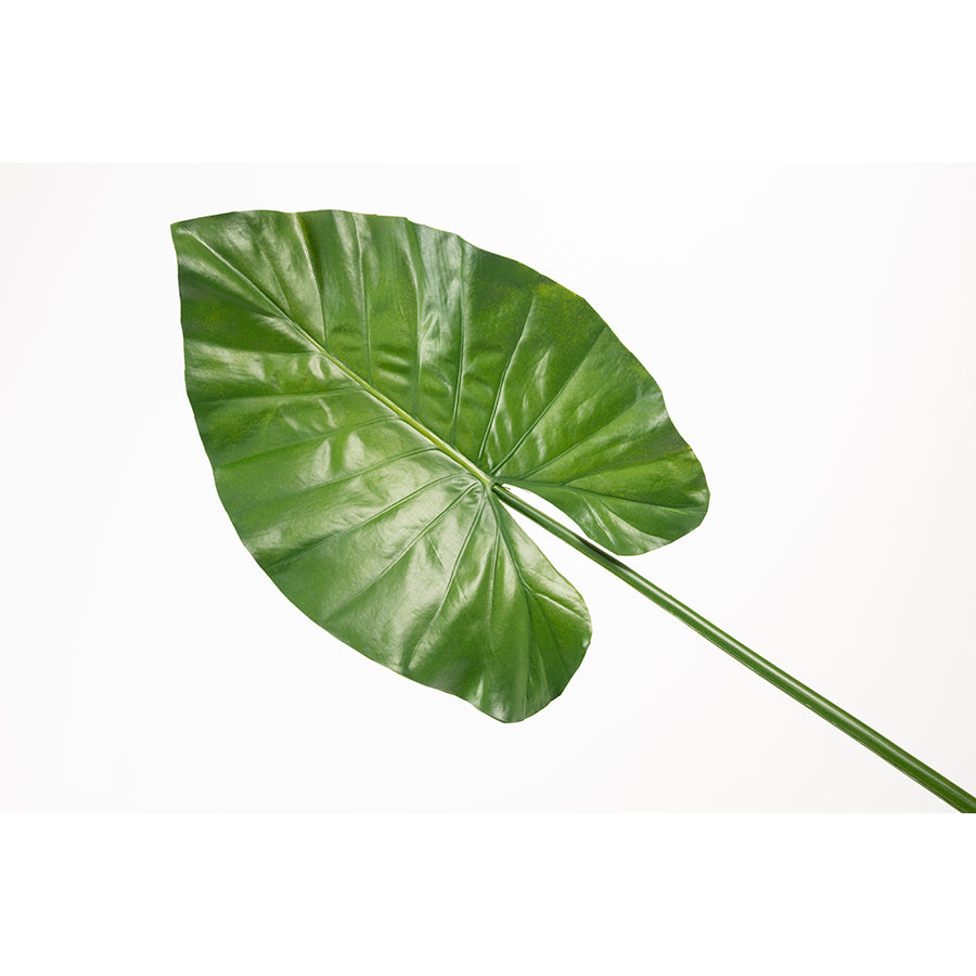 Artificial Large Elephants Ear Leaf