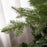 6 Ft Artificial Christmas Tree with Metal Base, Hinged Branches