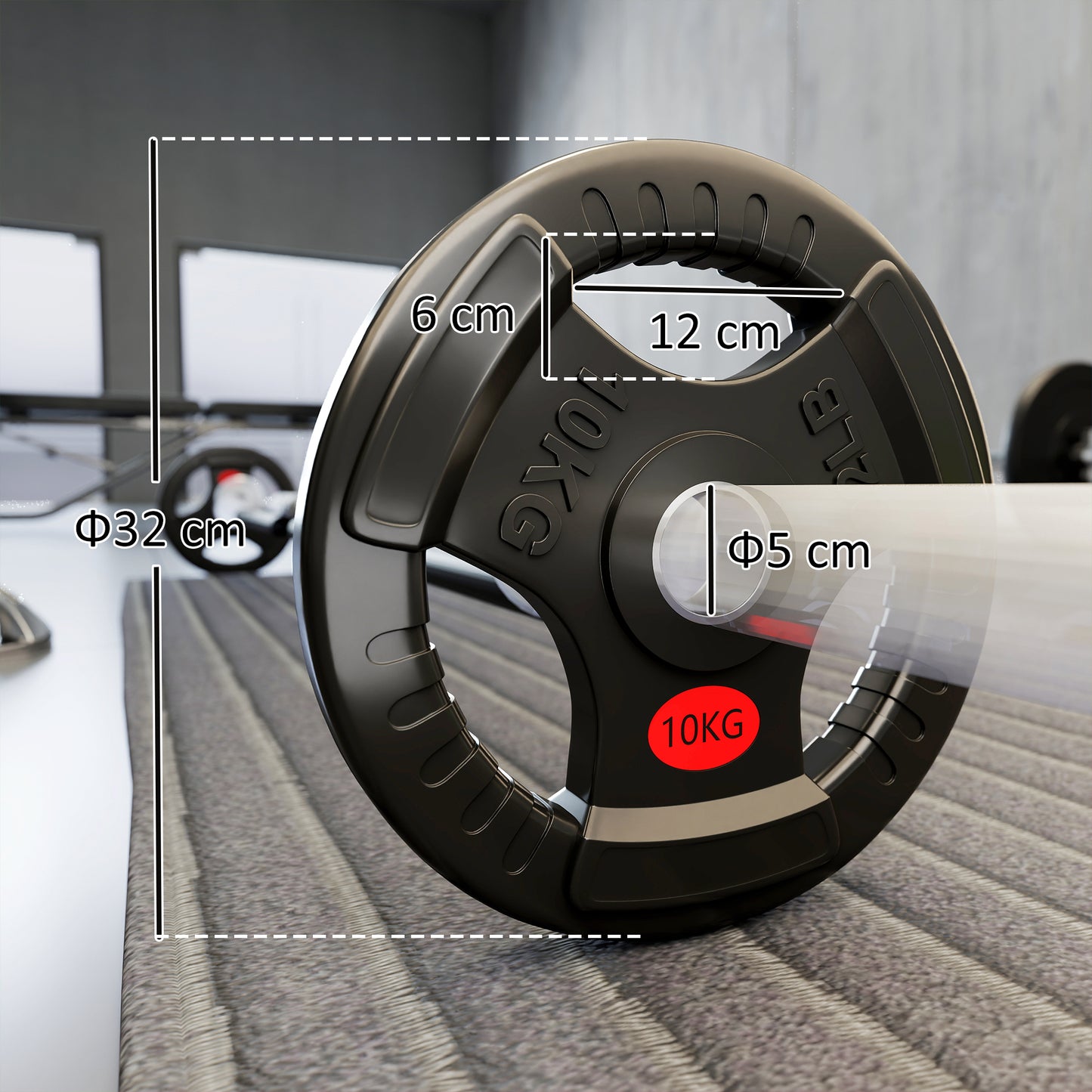 2 x 10kg Olympic Weight Plates, Weight Plate Discs with Tri-Grips
