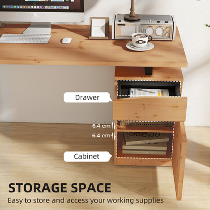Computer Desk, Writing Table with Cabinet and Drawer, Natural