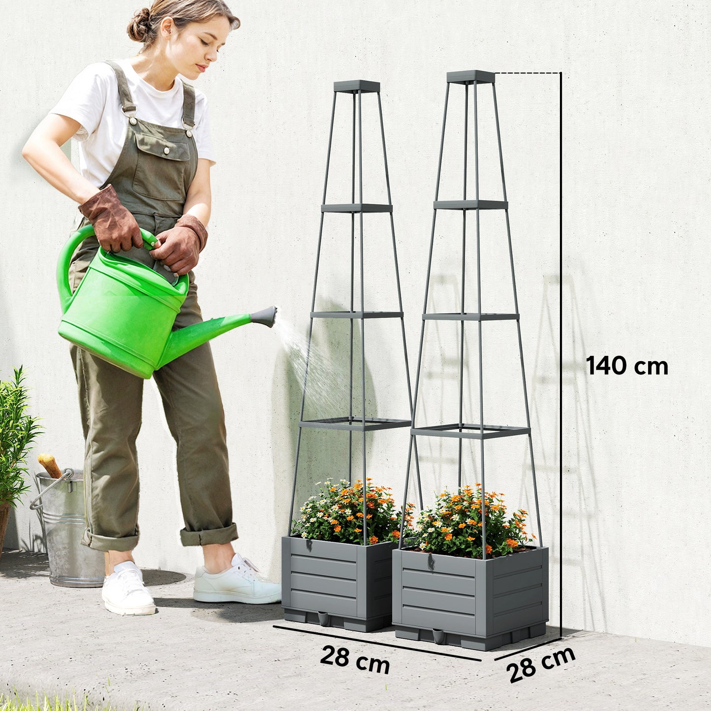 2 Pack Raised Garden Bed with Trellis and Removable Drainage Tray