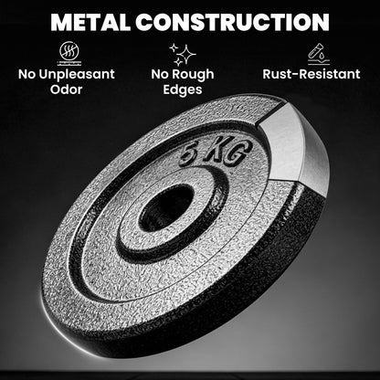 Weight Plates Set, 1"/2.5cm Weight Disc Pair, 4 x 5kg Metal Dumbbell/Barbell Plates for Weightlifting and Strength Training Home Gym Fitness Workout, Grey