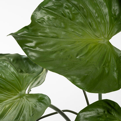 Potted Artificial Elephants Ear Plant