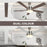 Mounting Reversible Ceiling Fan with Light, Remote, Silver & Natural