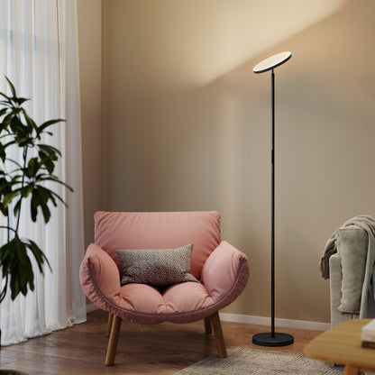 RGB Floor Lamp with Rotatable Head, Modern Standing Lamp, Black
