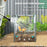 Raised Garden Bed Planter Box with Greenhouse, Clear and Green