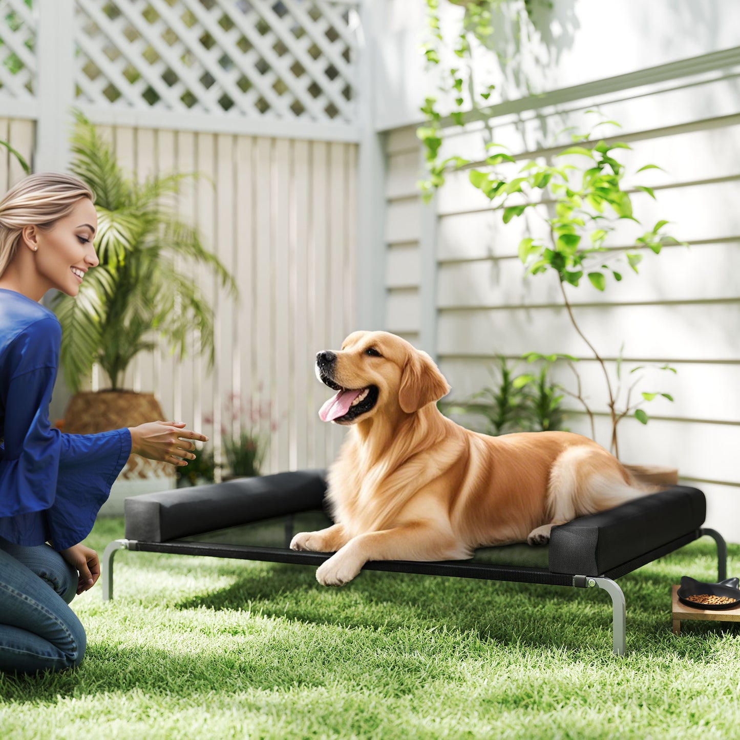 Elevated Dog Bed, Raised Dog Bed with Removable Bolsters