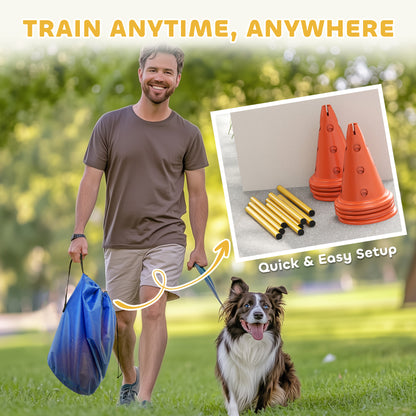 Dog Agility Equipment Set, Four-Piece Adjustable Height Jumping