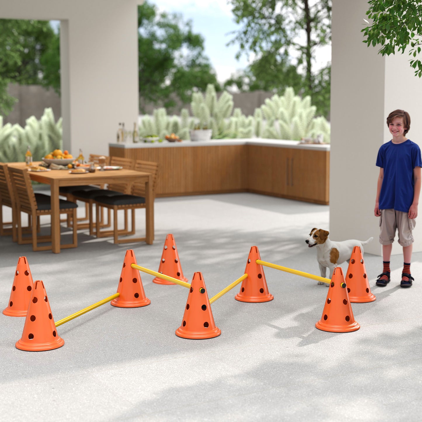 Dog Agility Equipment Set, Four-Piece Adjustable Height Jumping