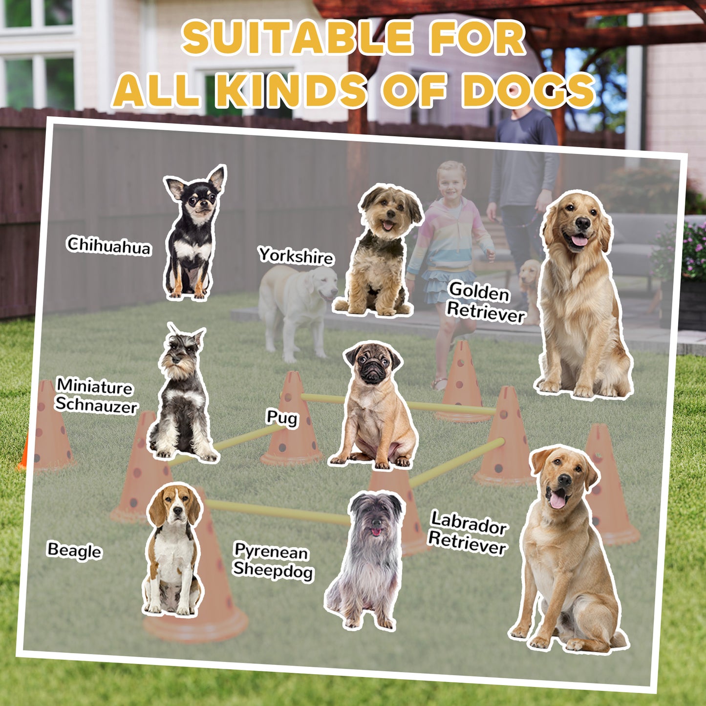 Dog Agility Equipment Set, Four-Piece Adjustable Height Jumping