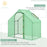 Walk in Greenhouse Garden Grow House with Roll Up Door and Window, 180 x 100 x 168 cm, Green