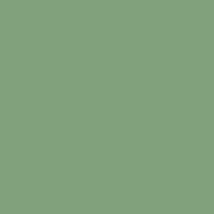 Set of 2 Raised Garden Bed, Outdoor Planter Box with Galvanised Steel Frame for Growing Vegetables, Flowers and Herbs, 110 x 50 x 30 cm, Light Green