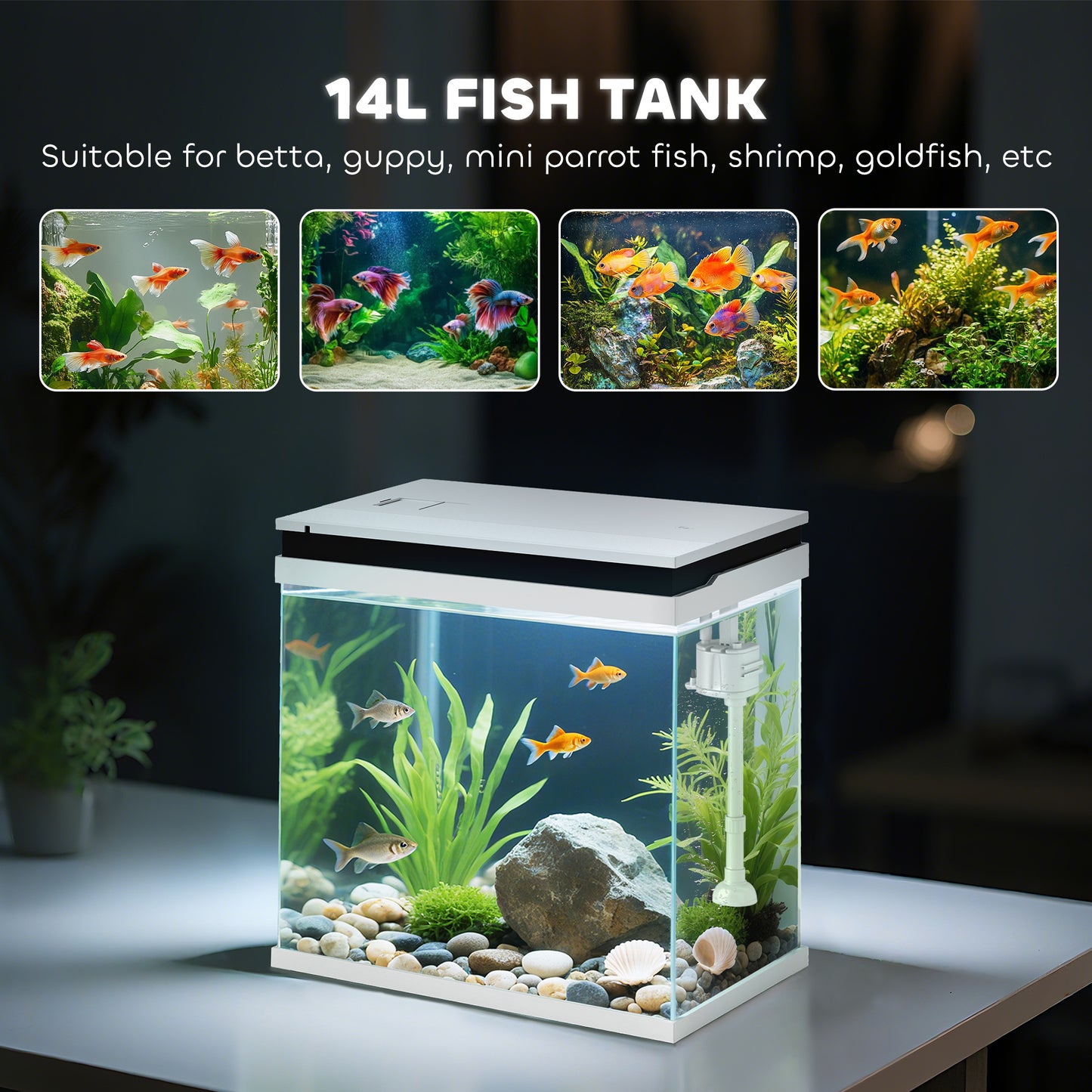 14L Small Fish Tank with Filter System, LED Lights, Water Pump, White