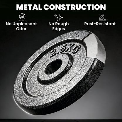 Weight Plates Set, 1"/2.5cm Weight Disc Pair, 4 x 2.5kg Metal Dumbbell/Barbell Plates for Weightlifting and Strength Training Home Gym Fitness Workout, Grey
