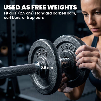 Weight Plates Set, 1"/2.5cm Weight Disc Pair, 4 x 2.5kg Metal Dumbbell/Barbell Plates for Weightlifting and Strength Training Home Gym Fitness Workout, Grey