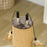 78cm Tall Cat Scratching Post with 3 Toy Feathers, Brown