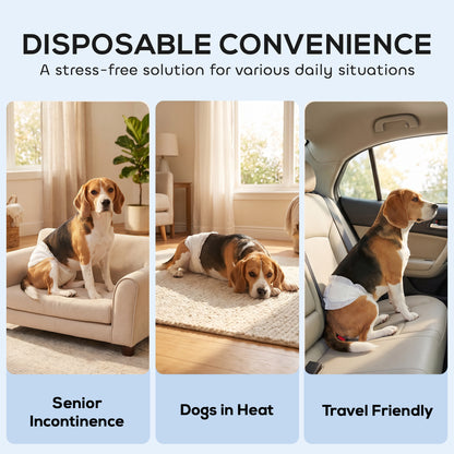 Disposable Dog Diapers Male, 48 Count Absorbent Dog Nappies, Puppy Sanitary Wraps Panties for Incontinence or Excitable Urination and Training, L, 62-80 cm