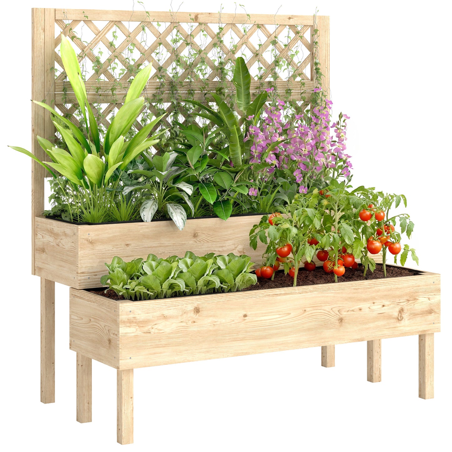 2-Tier Raised Garden Bed with Trellis for Climbing Plants