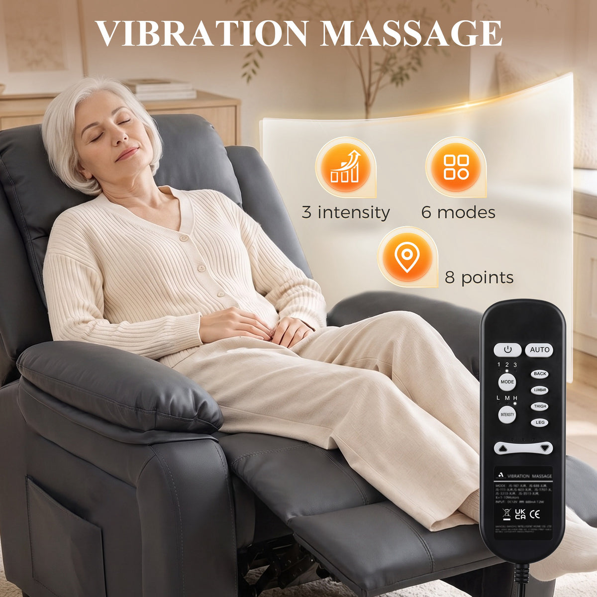 Riser and Recliner Chair Power Lift Recliner with Remote, Dark Grey