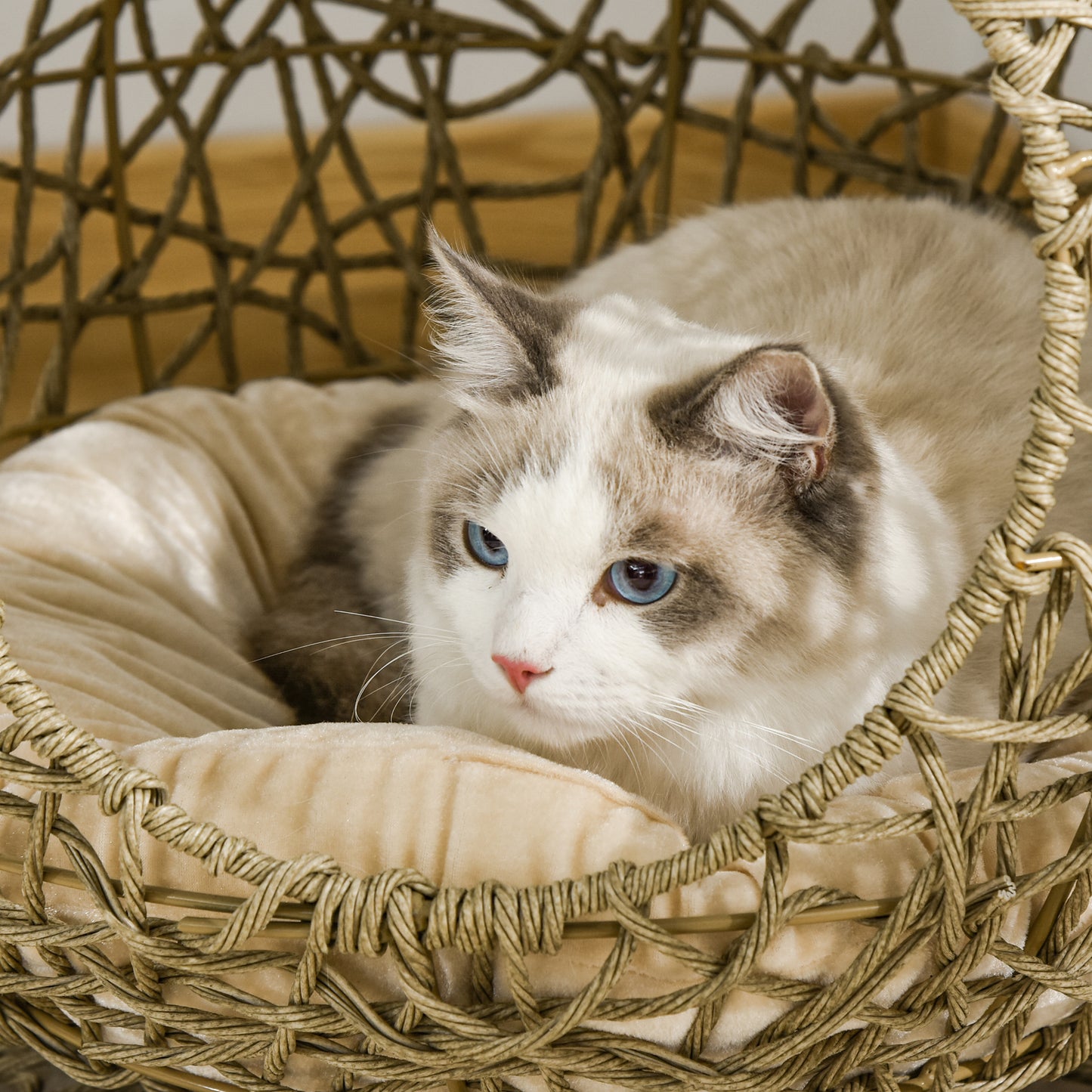 Wicker Cat Bed Elevated Rattan Kitten Basket Pet Den. House Cozy Cave with Soft Cushion Φ48 x 52cm Brown