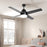 Mounting Reversible Ceiling Fan with Light, Remote, Black & Brown