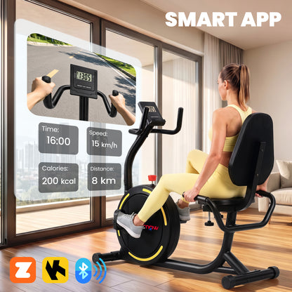 Magnetic Recumbent Exercise Bike with Bluetooth App Connectivity - Black