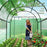 3 x 2 x 2m Polytunnel Greenhouse with Doors and Mesh Windows