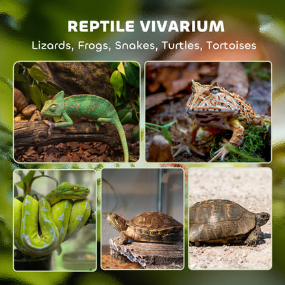 48L Glass Terrarium, Reptile Vivarium with Stone Background, Black
