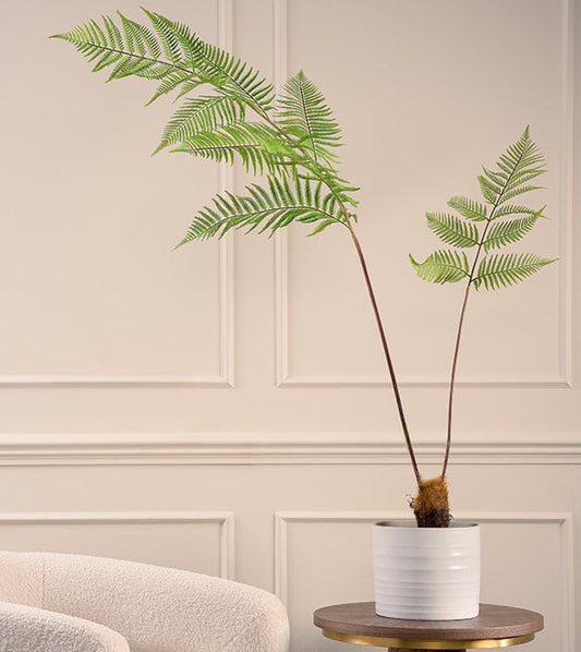 Large Artificial Fern Plant