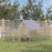 Chicken Run with Roof, Walk In Chicken Coop Run Cage for 10-12 Chickens, Hen House Duck Pen Outdoor, 380x280x195 cm