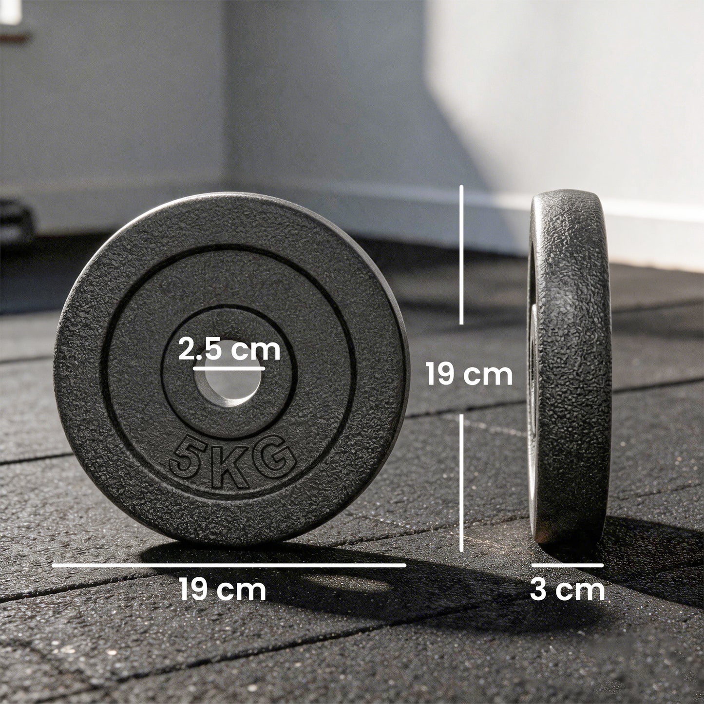 Weight Plates Set, 1"/2.5cm Weight Disc Pair, 4 x 5kg Metal Dumbbell/Barbell Plates for Weightlifting and Strength Training Home Gym Fitness Workout, Grey