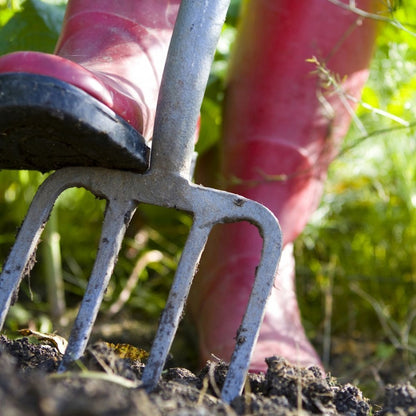 Get Your Garden in Tip Top Form Ready for Spring - Transform Your Garden with 4 Hours of Expert Landscaping from Lost the Plot Gardening Services! Comprehensive Garden Service for Only £135!