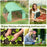 Polytunnel Greenhouse Walk-in Grow House Tent with Roll-up Sidewalls, Zipped Door and 6 Windows, 3x3x2m Green