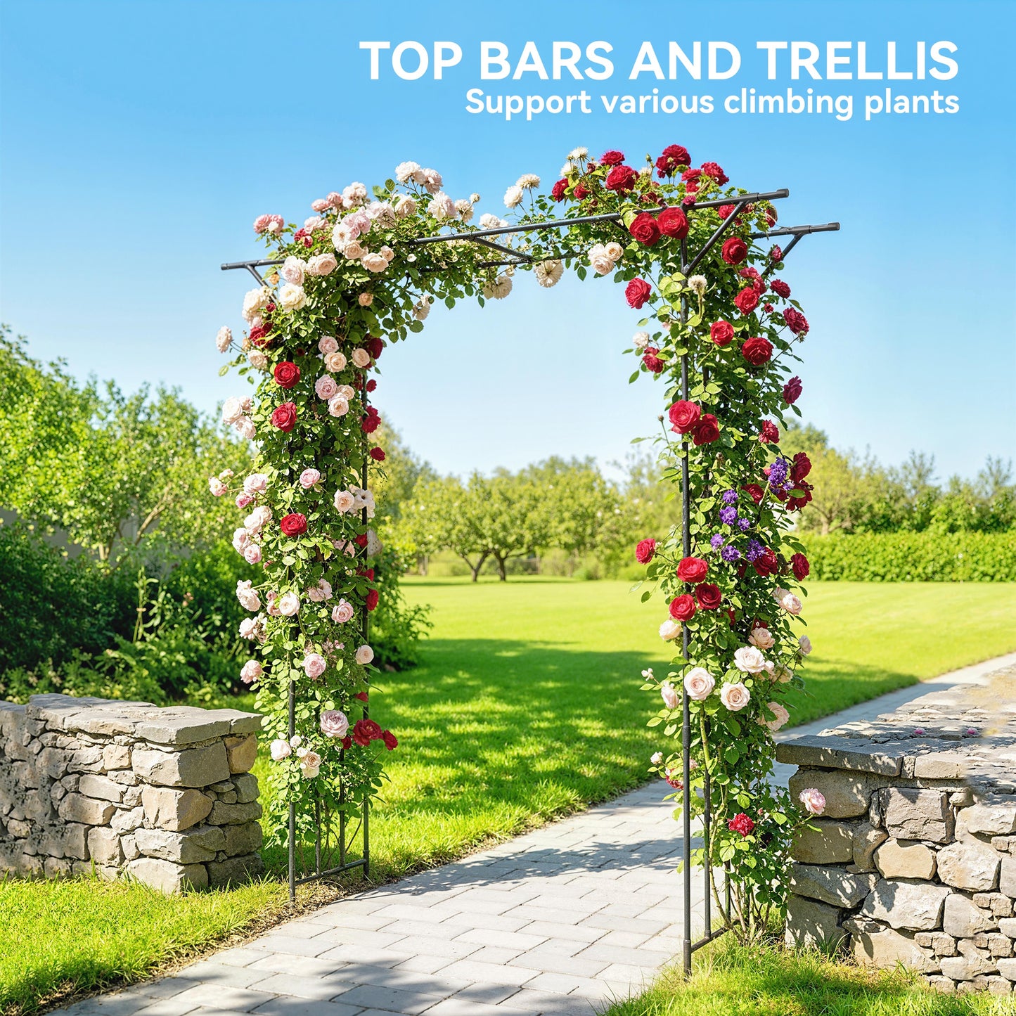 Garden Arch, Rose Arch, 180 x 40 x 215 cm, Black